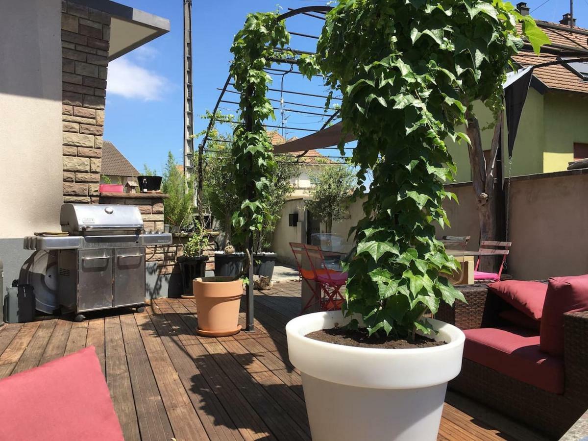 La Terrasse Selestadienne Sélestat Dış mekan fotoğraf