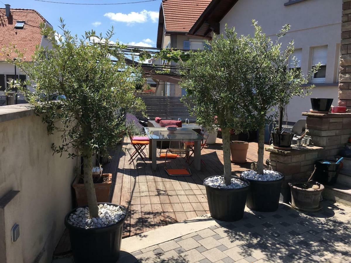 La Terrasse Selestadienne Sélestat Dış mekan fotoğraf